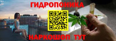 дурь Будённовск