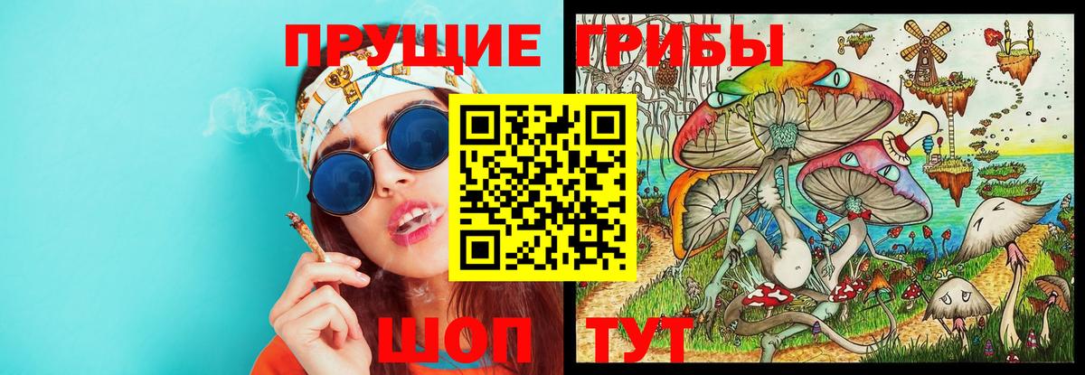 Сальск  Галлюциногенные грибы Psilocybe  хочу   Вход с VPN 