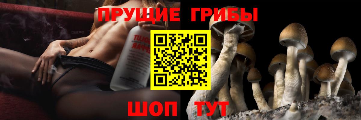Псилоцибиновые грибы GOLDEN TEACHER Сальск